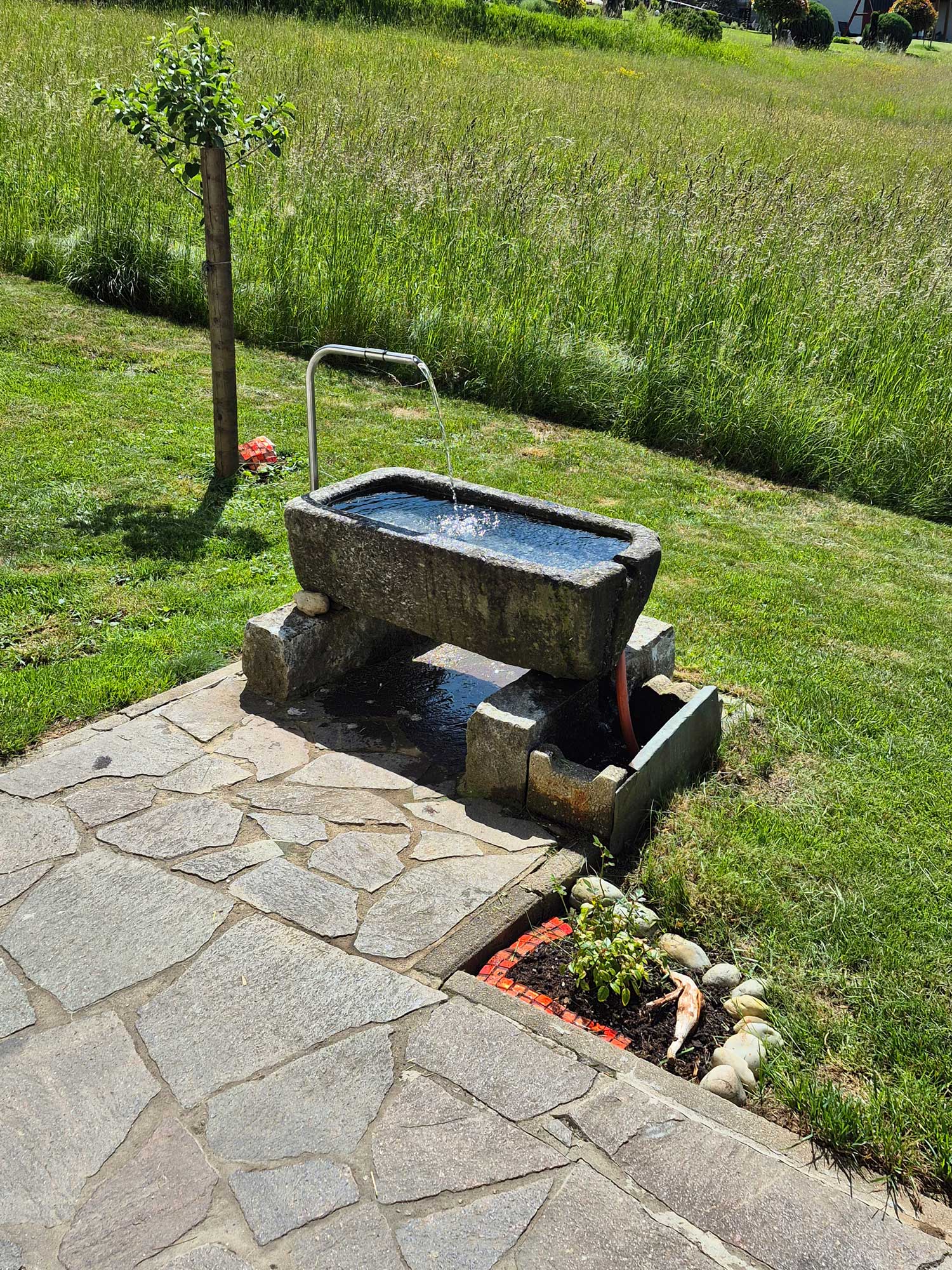 Wassergrand